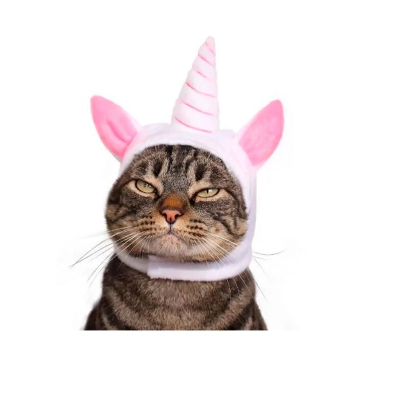 Fantasia de Unicórnio Cansei de Ser Gato
